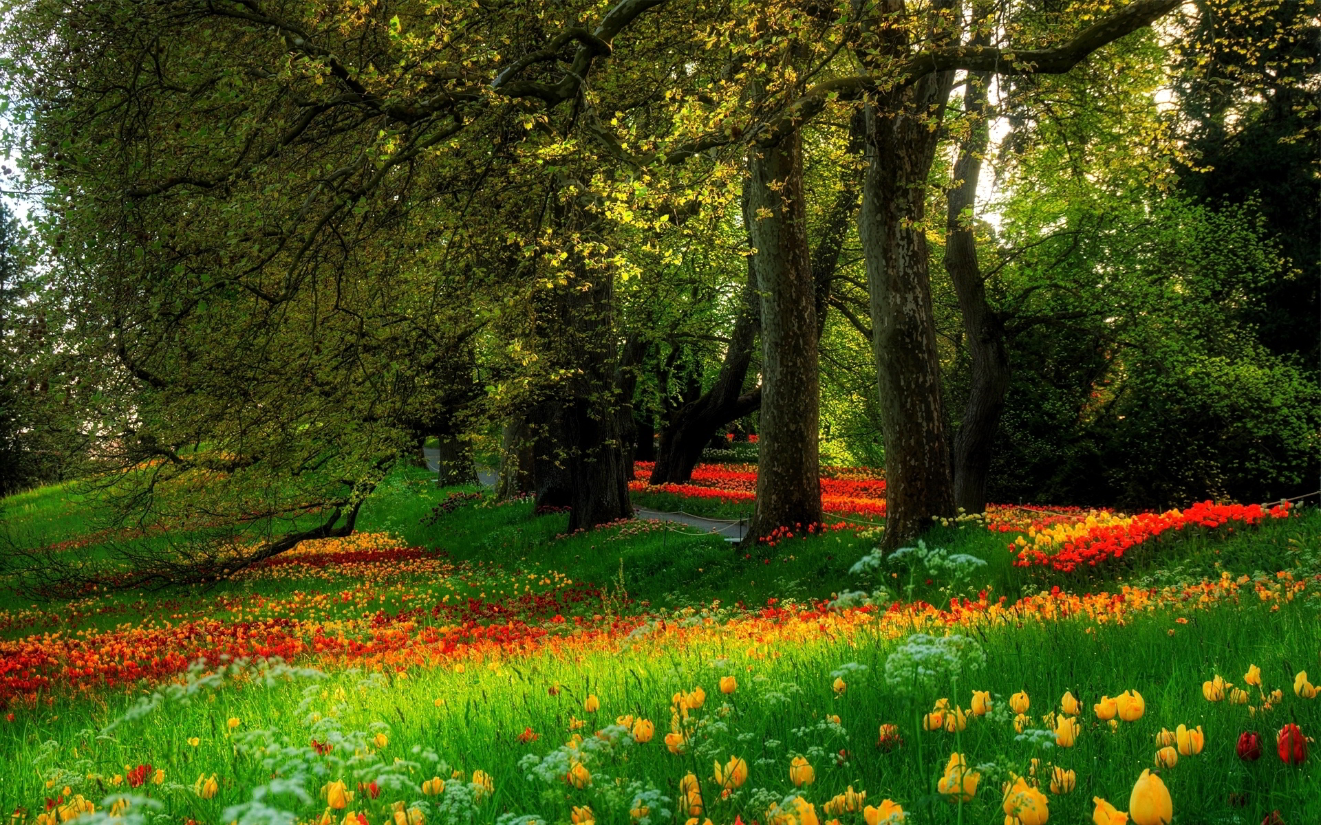 "FLOWERS ON THE PATHWAY"...click to view more...