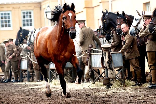 "THE HORSE & THE HORSELEACH" - ...Click to view more....